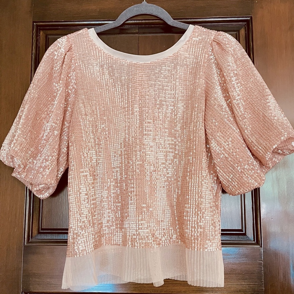Anthropology By Sarah Hann Sequined Puff Sleeve Top Size
Pink 
Size Medium